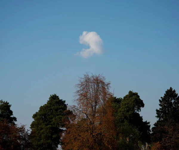 Одинокое Облако Голубом Небе — стоковое фото