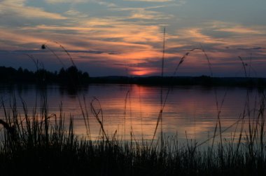 Gölün üzerindeki çimlerin arasından gün batımı