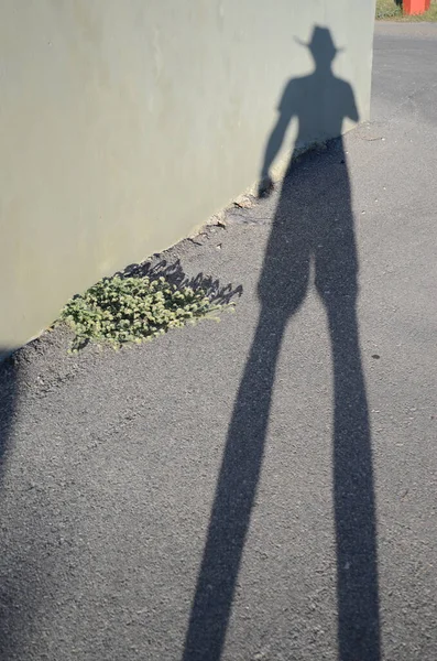 Şehir Erkeğinin Gölgesi 