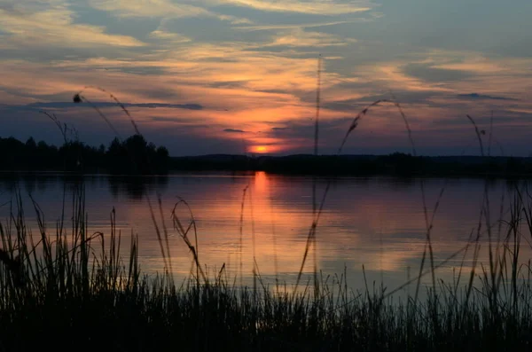 Закат Через Траву Над Озером — стоковое фото