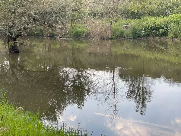Grüne Natur Teich Und Spiegelungen — Stockfoto