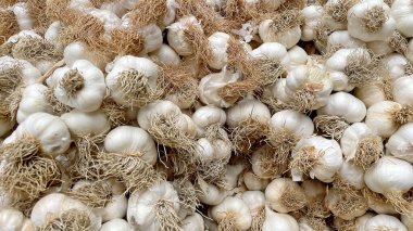 Satılık sarımsak paketleri kapatın.