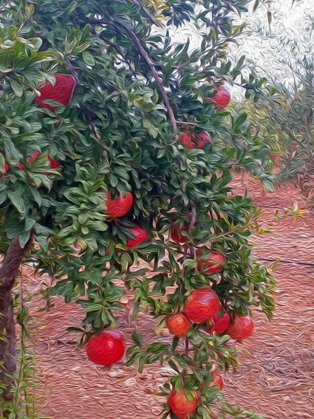 Melograno Melograno Con Foglie Verdi Natura Con Effetto Pittura Olio — Foto Stock