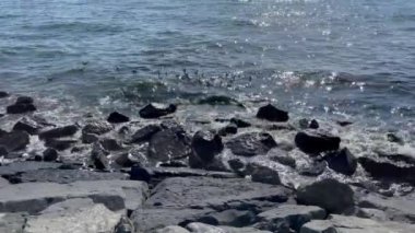 İstanbul 'daki Mara Denizi' nde deniz, uçurum ve deniz kirliliği.