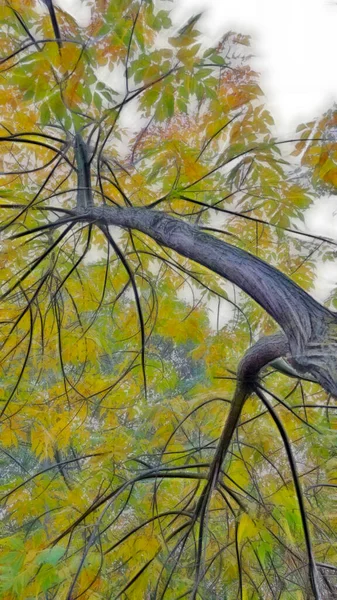 自然の中で木の枝に秋の葉 — ストックベクタ