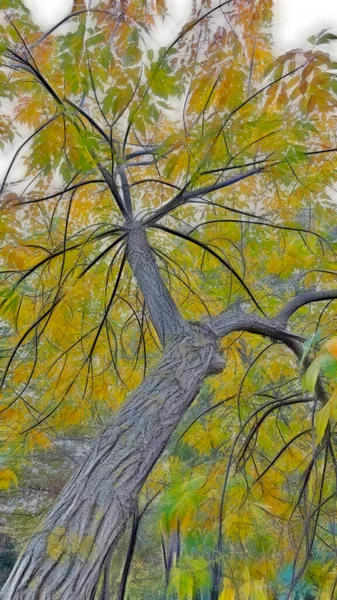 Herbstblätter Auf Ästen Der Natur — Stockvektor