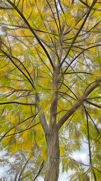 Hojas Otoño Sobre Ramas Árboles Naturaleza — Foto de Stock