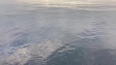 Sabahın erken saatlerinde sakin deniz