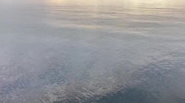 Sabahın erken saatlerinde sakin deniz