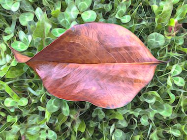 Arka plan için doğanın nefes kesici güzelliği