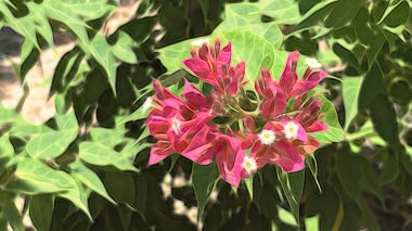 Arka plan için doğanın nefes kesici güzelliği