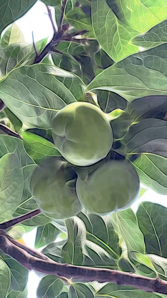 Die Atemberaubende Schönheit Der Natur Als Hintergrund — Stockfoto