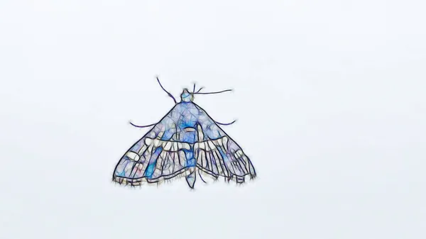 Art Fractal Gros Plan Papillon Sur Fenêtre — Photo