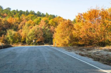 Arka plan için doğanın nefes kesici güzelliği. Doğa ve ulaşım yolu..