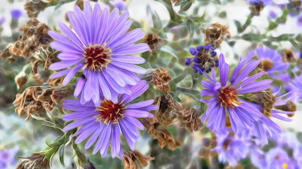 Beleza Tirar Fôlego Natureza Para Fundo — Fotografia de Stock