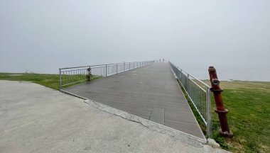 Sonbahar mevsiminde doğada sisli bir gün.