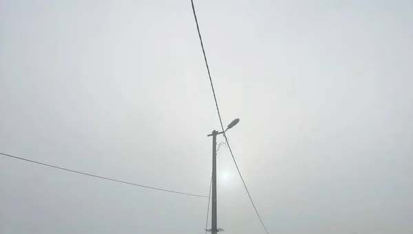 Foggy Dag Naturen Höst Säsong — Stockfoto