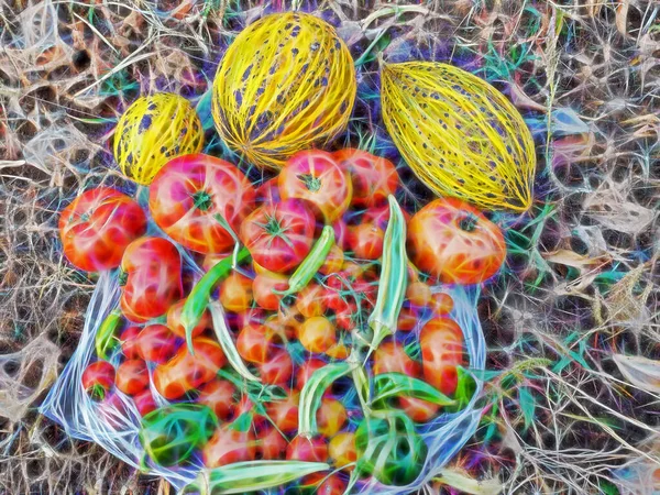 Arte Fractal Beleza Tirar Fôlego Natureza Para Fundo — Fotografia de Stock