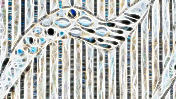 Фрактальне Мистецтво Абстрактний Візерунок Тла — стокове фото