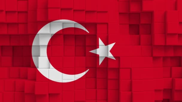 Countries Flags Flag Republic Turkey — Stock Video