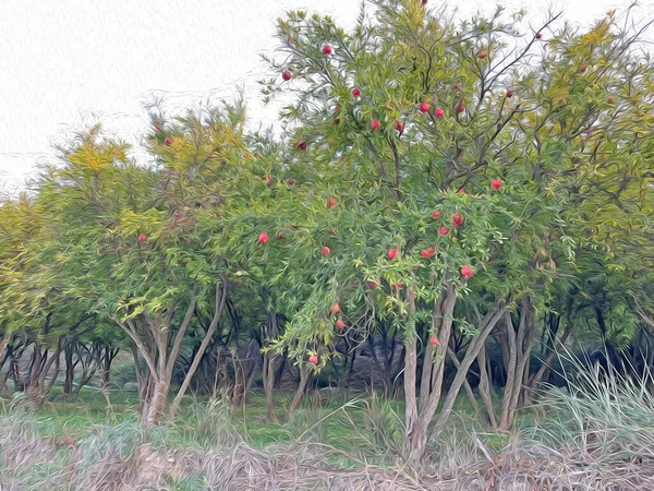 Harmankoy Bilecik Turkey October 2021 Harmankoy Чарівне Село Біледжик Туреччина — стокове фото