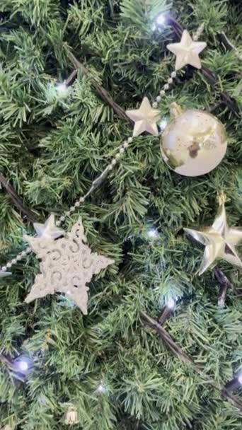 크리스마스와 새해를 소나무와 크리스마스 — 비디오