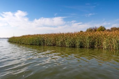 Golyazi, Bursa, Türkiye-13 Kasım 2021.Golyazi, doğal ve tarihi güzellikleri ile Türkiye 'nin Asya kıtasındaki Uluabat Gölü kıyılarında ve Bursa ilinde yer almaktadır.. 