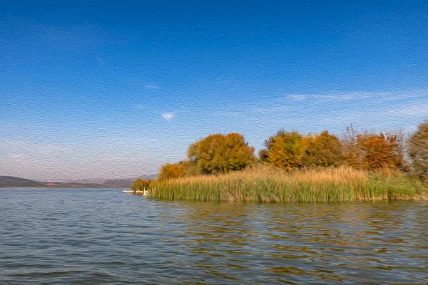 Vista Lago Cañas Temporada Otoño Con Efecto Pintura Óleo — Foto de Stock