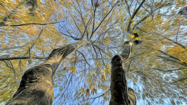 Arbres Avec Saison Automne Ciel Bleu — Photo