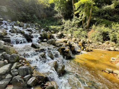 İstanbul Boğazı 'nın tepelerinde hindi, sembolik 12.2021.Khediv pavyonu ve korusu. Sonbaharda yeşil doğası ve güzellikleriyle koruluktan manzaralar..