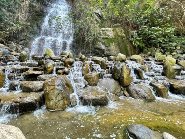 İstanbul Boğazı 'nın tepelerinde hindi, sembolik 12.2021.Khediv pavyonu ve korusu. Sonbaharda yeşil doğası ve güzellikleriyle koruluktan manzaralar..