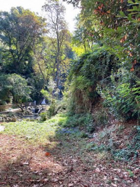 İstanbul Boğazı 'nın tepelerinde hindi, sembolik 12.2021.Khediv pavyonu ve korusu. Sonbaharda yeşil doğası ve güzellikleriyle koruluktan manzaralar..