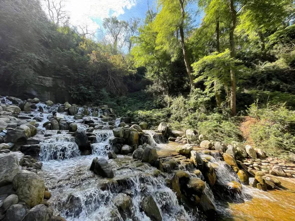İstanbul Boğazı 'nın tepelerinde hindi, sembolik 12.2021.Khediv pavyonu ve korusu. Sonbaharda yeşil doğası ve güzellikleriyle koruluktan manzaralar..
