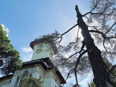 İstanbul Boğazı 'nın tepelerinde hindi, sembolik 12.2021.Khediv pavyonu ve korusu. Sonbaharda yeşil doğası ve güzellikleriyle koruluktan manzaralar..