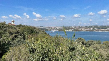 İstanbul Boğazı 'nın tepelerinde hindi, sembolik 12.2021.Khediv pavyonu ve korusu. Sonbaharda yeşil doğası ve güzellikleriyle koruluktan manzaralar..