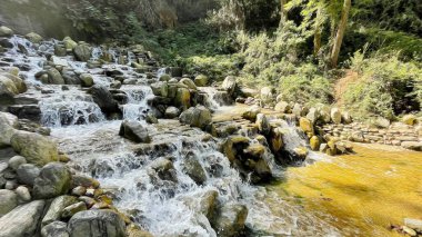 İstanbul Boğazı 'nın tepelerinde hindi, sembolik 12.2021.Khediv pavyonu ve korusu. Sonbaharda yeşil doğası ve güzellikleriyle koruluktan manzaralar..