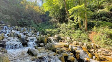 İstanbul Boğazı 'nın tepelerinde hindi, sembolik 12.2021.Khediv pavyonu ve korusu. Sonbaharda yeşil doğası ve güzellikleriyle koruluktan manzaralar..