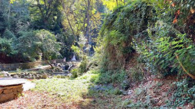 İstanbul Boğazı 'nın tepelerinde hindi, sembolik 12.2021.Khediv pavyonu ve korusu. Sonbaharda yeşil doğası ve güzellikleriyle koruluktan manzaralar..