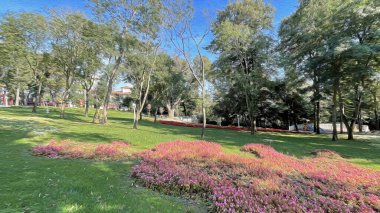 İstanbul Boğazı 'nın tepelerinde hindi, sembolik 12.2021.Khediv pavyonu ve korusu. Sonbaharda yeşil doğası ve güzellikleriyle koruluktan manzaralar..