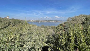 İstanbul Boğazı 'nın tepelerinde hindi, sembolik 12.2021.Khediv pavyonu ve korusu. Sonbaharda yeşil doğası ve güzellikleriyle koruluktan manzaralar..