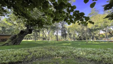 İstanbul Boğazı 'nın tepelerinde hindi, sembolik 12.2021.Khediv pavyonu ve korusu. Sonbaharda yeşil doğası ve güzellikleriyle koruluktan manzaralar..