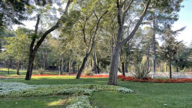İstanbul Boğazı 'nın tepelerinde hindi, sembolik 12.2021.Khediv pavyonu ve korusu. Sonbaharda yeşil doğası ve güzellikleriyle koruluktan manzaralar..