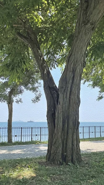 Fenerbahce Istanbul Turquía Agustos 2021 Mármara Vista Mar Desde Parque — Foto de Stock