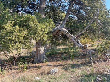 Harmankoy, Bilecik, Türkiye-30 Ekim 2021, Haramankaya, Bilecik ilinin İnhisar ilçesine bağlı bir köydür..