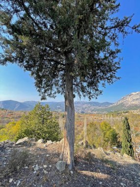 Harmankoy, Bilecik, Türkiye-30 Ekim 2021, Haramankaya, Bilecik ilinin İnhisar ilçesine bağlı bir köydür..