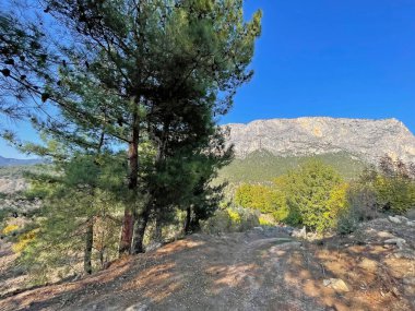 Harmankoy, Bilecik, Türkiye-30 Ekim 2021, Haramankaya, Bilecik ilinin İnhisar ilçesine bağlı bir köydür..