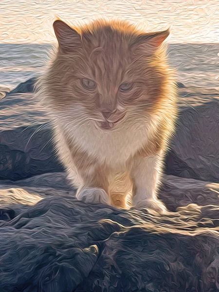 Gelbe Katze Der Natur Mit Ölgemäldeeffekt — Stockfoto