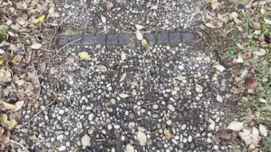 Doğa sonbaharın sonunda ve kışın başında