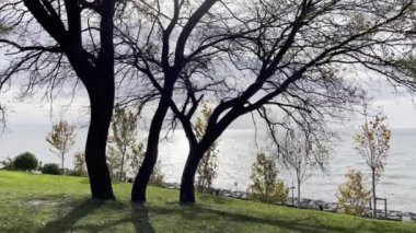 İstanbul, Türkiye-27 Kasım 2021.Marmara Deniz manzaralı Florya kamu parkı ve sonbahar sezonu İstanbul, Türkiye.