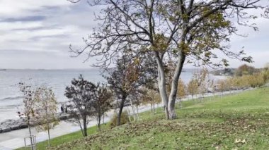 İstanbul, Türkiye-27 Kasım 2021.Marmara Deniz manzaralı Florya kamu parkı ve sonbahar sezonu İstanbul, Türkiye.
